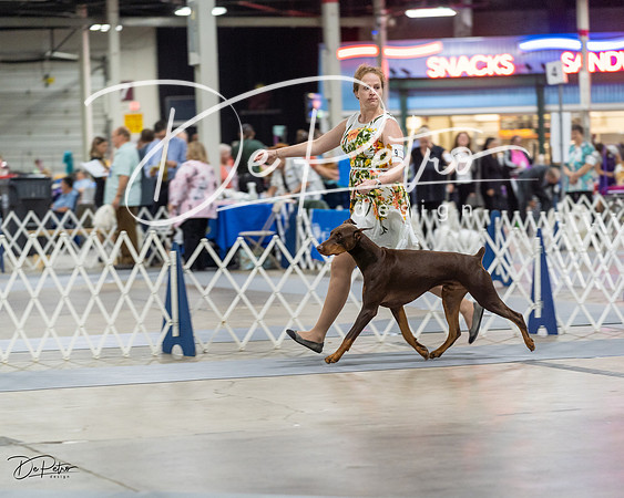 20230826-DSC04814