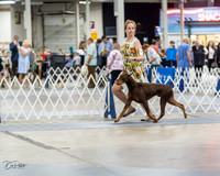 20230826-DSC04816