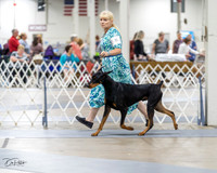 20230826-DSC04828