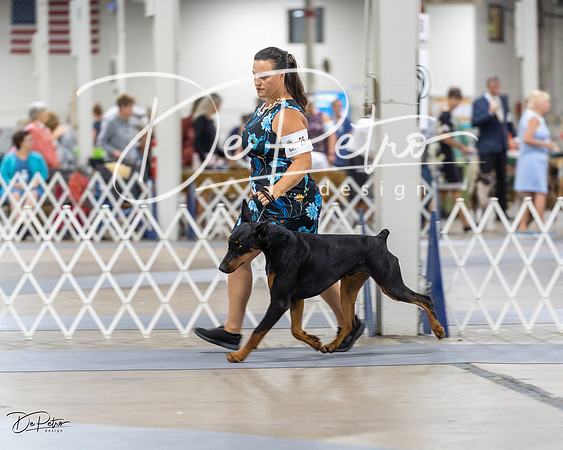 20230826-DSC04830