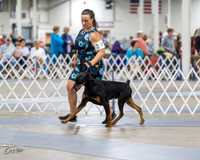 20230826-DSC04835