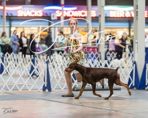 20230826-DSC04838