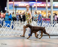 20230826-DSC04840