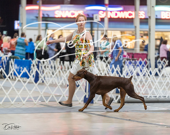 20230826-DSC04840