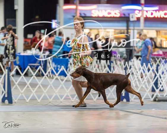 20230826-DSC04842