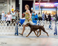 20230826-DSC04844