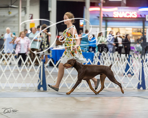 20230826-DSC04844