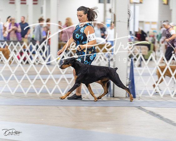 20230826-DSC05154