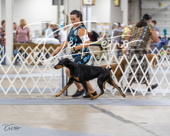 20230826-DSC05152