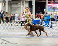 20230826-DSC04846