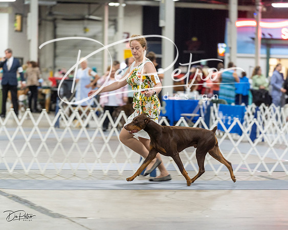 20230826-DSC04846