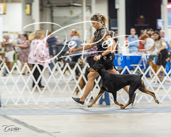 20230826-DSC05166