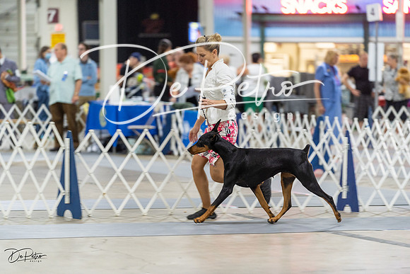 20230826-DSC05186