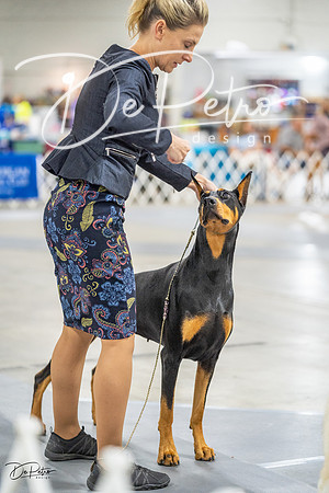 20230825-DSC03047