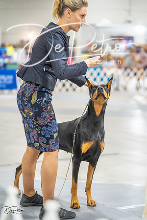 20230825-DSC03049