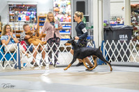 20230825-DSC03042