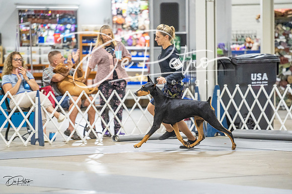 20230825-DSC03042