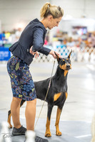 20230825-DSC03057