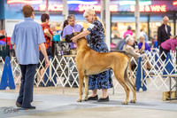 20230825-DSC03063
