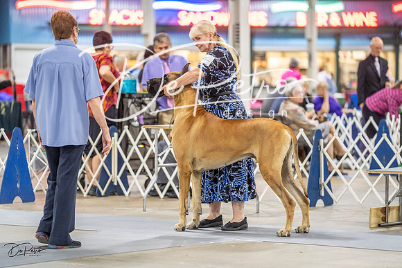 20230825-DSC03063