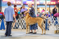 20230825-DSC03062