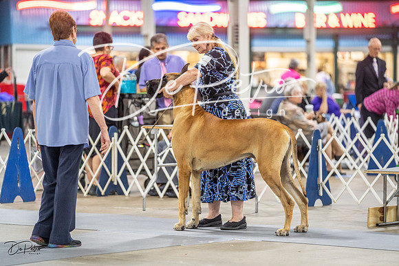 20230825-DSC03062
