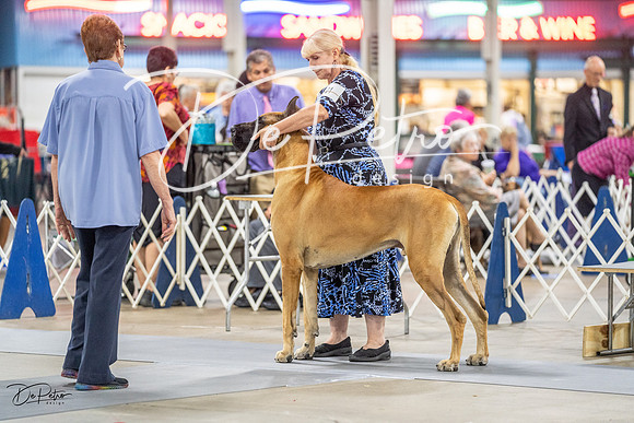 20230825-DSC03064