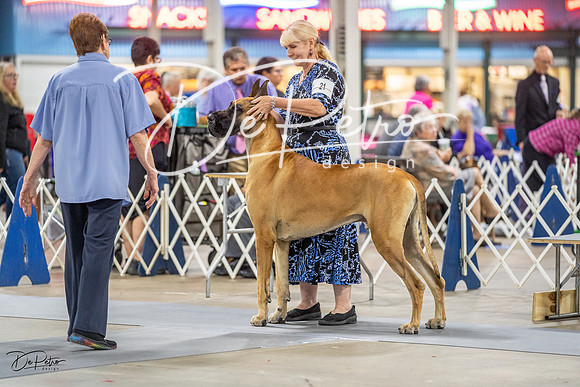 20230825-DSC03065