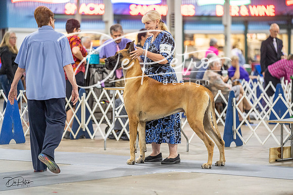 20230825-DSC03067