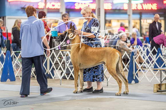 20230825-DSC03070