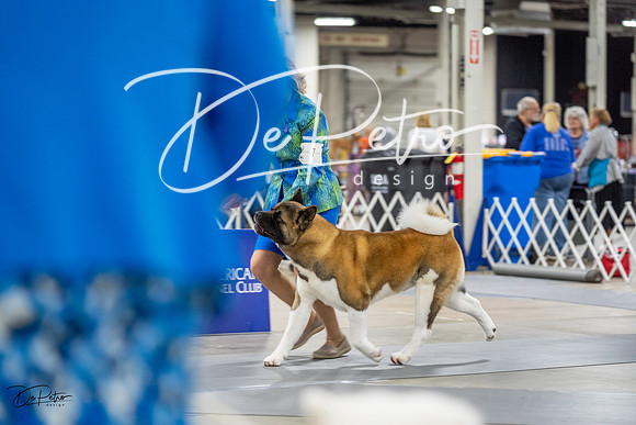 20230825-DSC03118