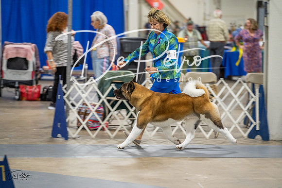 20230825-DSC03134
