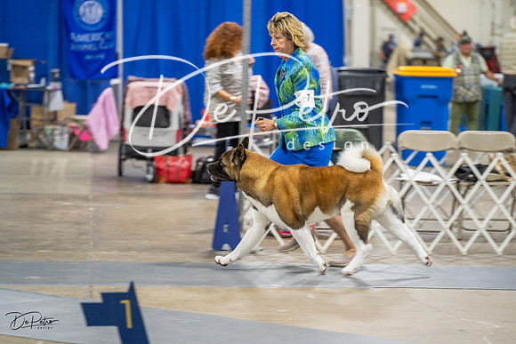 20230825-DSC03136