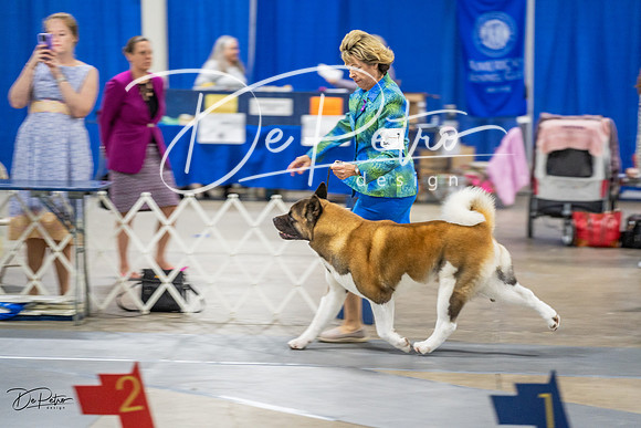 20230825-DSC03141-2