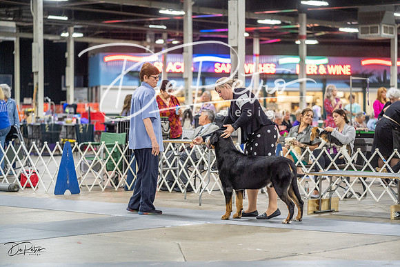 20230825-DSC03146-2