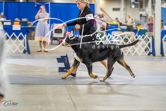 20230825-DSC03159