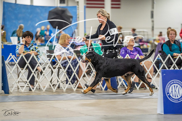 20230825-DSC03165-2