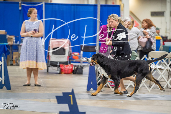 20230825-DSC03177