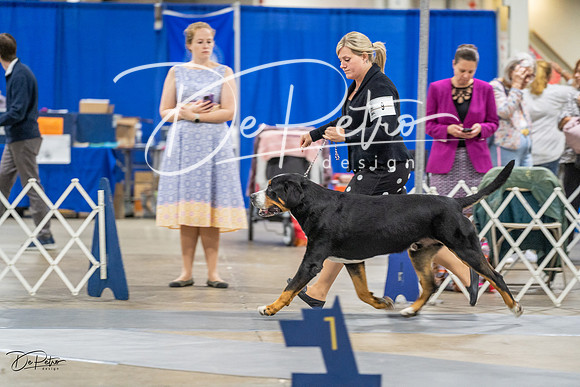 20230825-DSC03179
