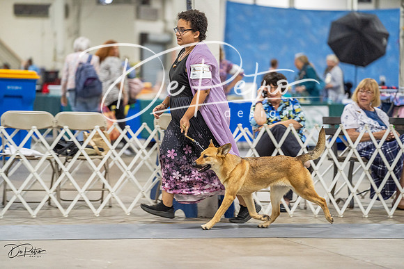 20230825-DSC03196
