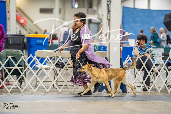 20230825-DSC03198