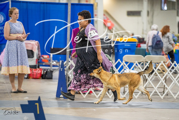 20230825-DSC03203