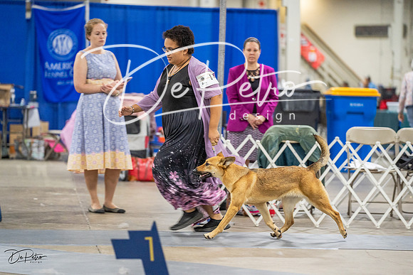 20230825-DSC03205