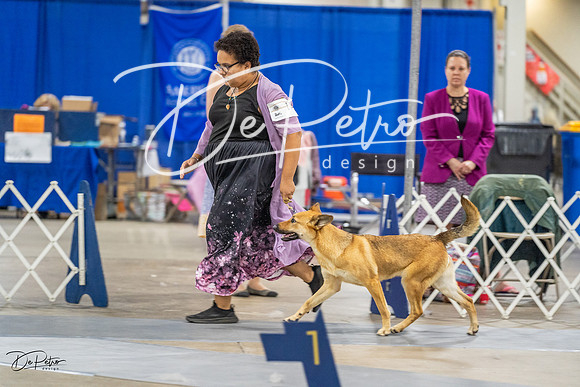 20230825-DSC03207