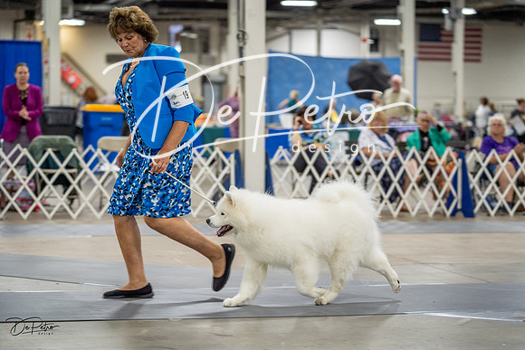 20230825-DSC03218