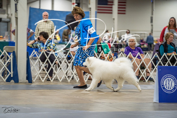 20230825-DSC03224