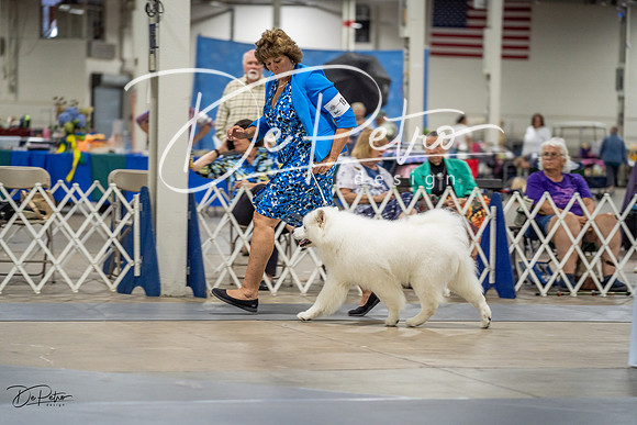 20230825-DSC03226