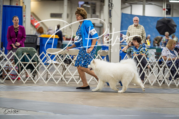 20230825-DSC03231