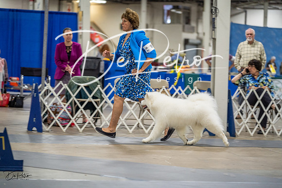 20230825-DSC03233