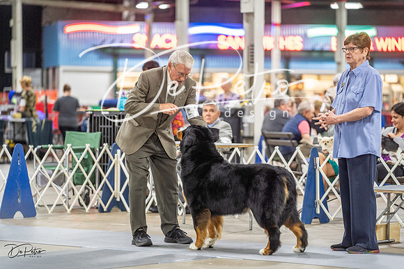 20230825-DSC03240